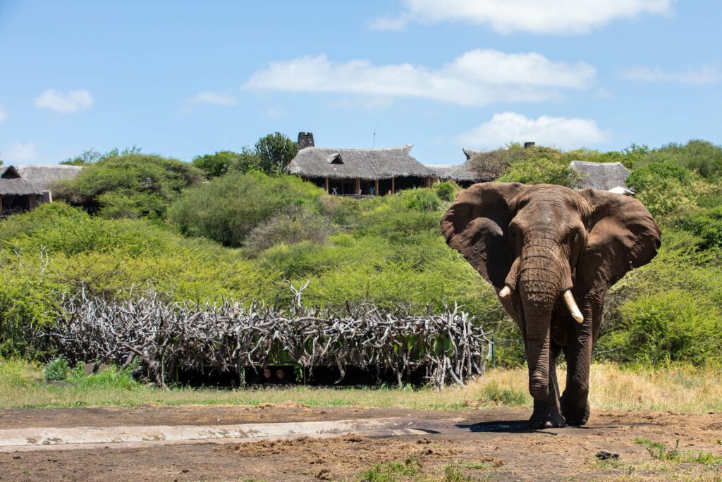 great plains ol donyo lodge elephant sunken hide great plains ol donyo lodge elephant sunken hide