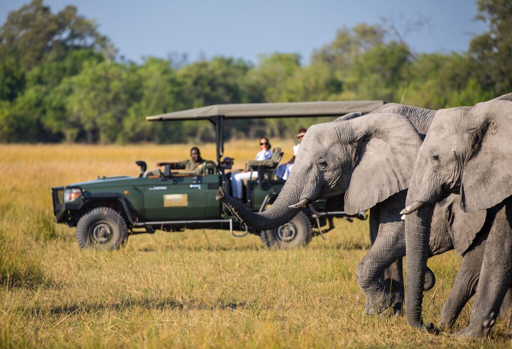 Great Plains Botswana Experience elephants in water with safari vehicle