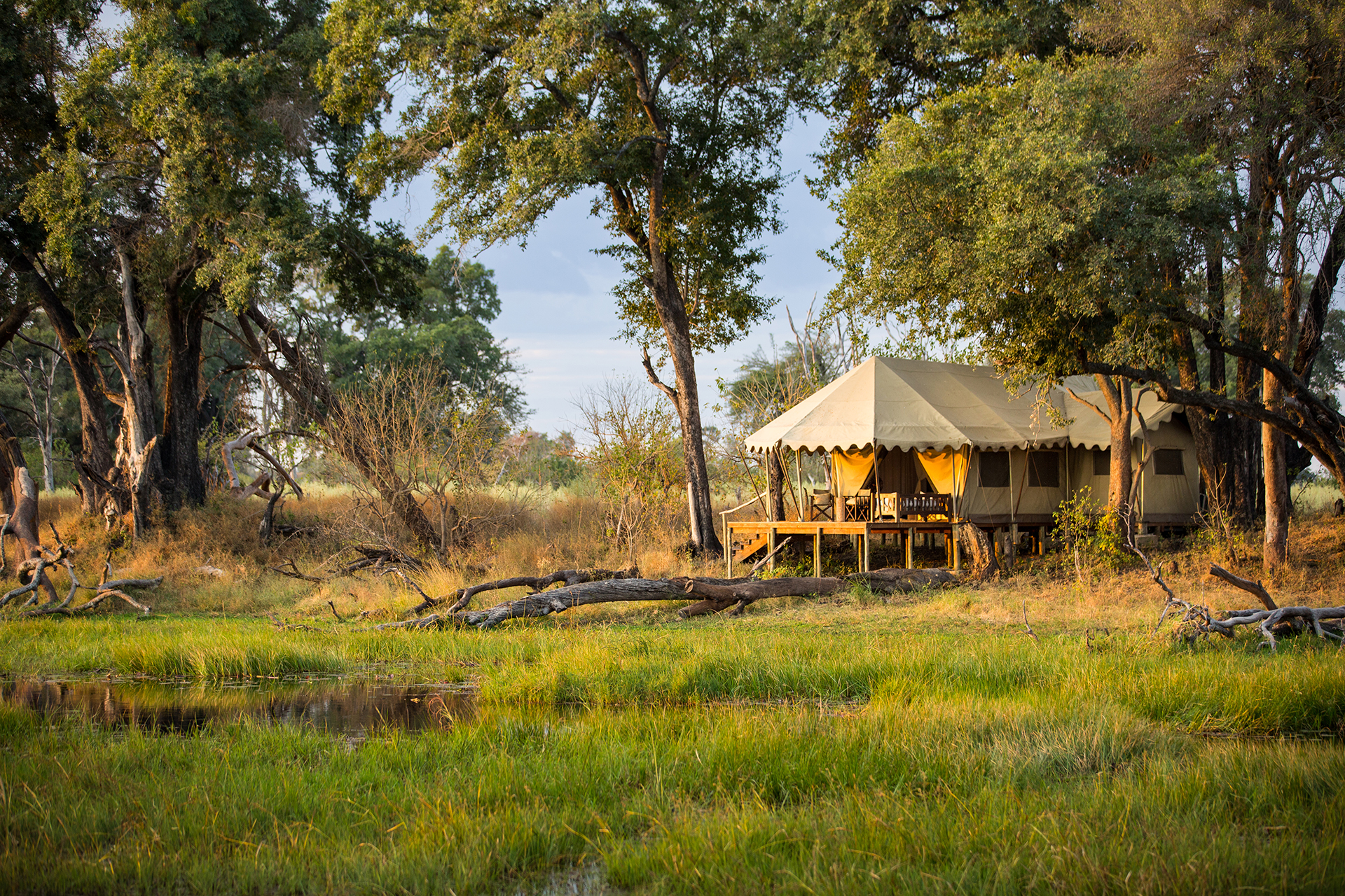 Guest tent exterior at Duba Explorers Camp