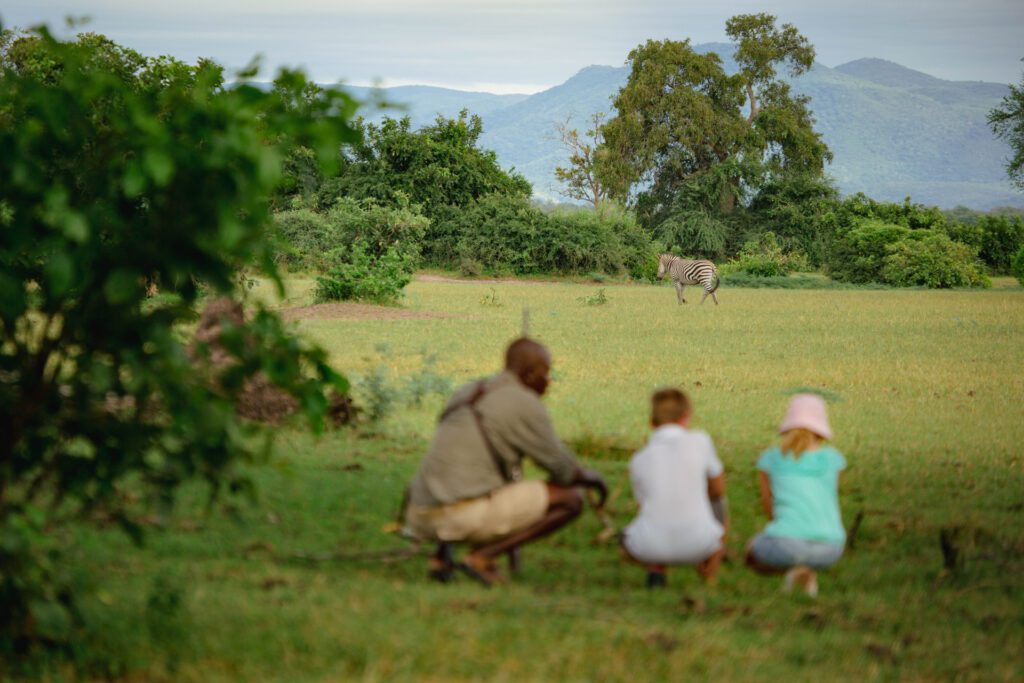 Great Plains Young Explorer Safari watching zebra Great Plains Young Explorer Safari watching zebra