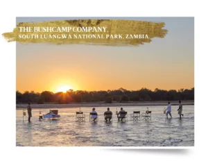 2023 GP Collective highlight Bushcamp