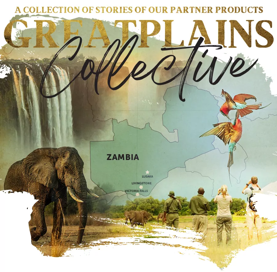 2023GP Collective Issue26 zambia