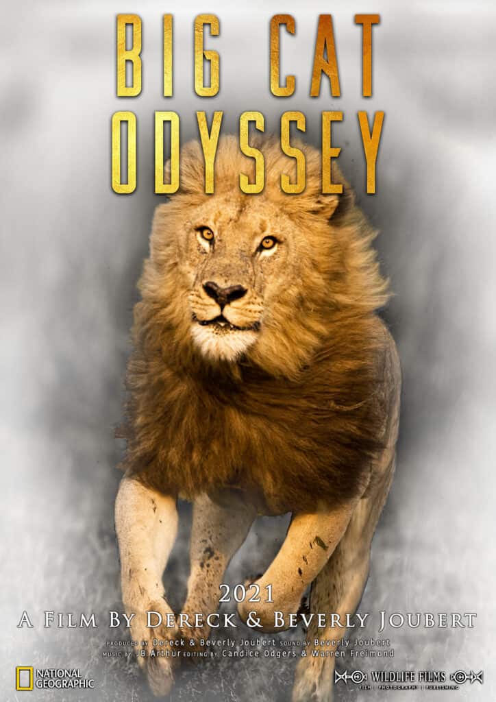 Great Plains Conservation Dereck and Beverly Joubert Big Cat Odyssey Great Plains Conservation Dereck and Beverly Joubert Big Cat Odyssey