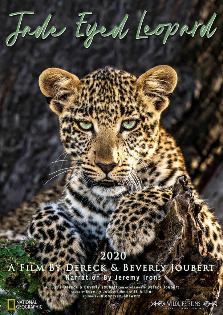 Great Plains Conservation Dereck and Beverly Joubert Jade Eyed Leopard Great Plains Conservation Dereck and Beverly Joubert Jade Eyed Leopard
