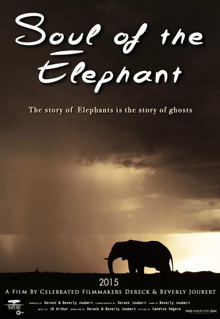 Great Plains Conservation Dereck and Beverly Joubert Soul of the Elephant Great Plains Conservation Dereck and Beverly Joubert Soul of the Elephant
