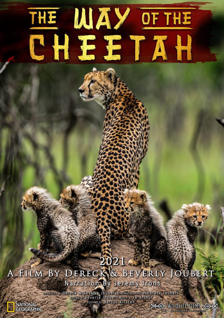 Great Plains Conservation Dereck and Beverly Joubert The Way Of The Cheetah Great Plains Conservation Dereck and Beverly Joubert The Way Of The Cheetah