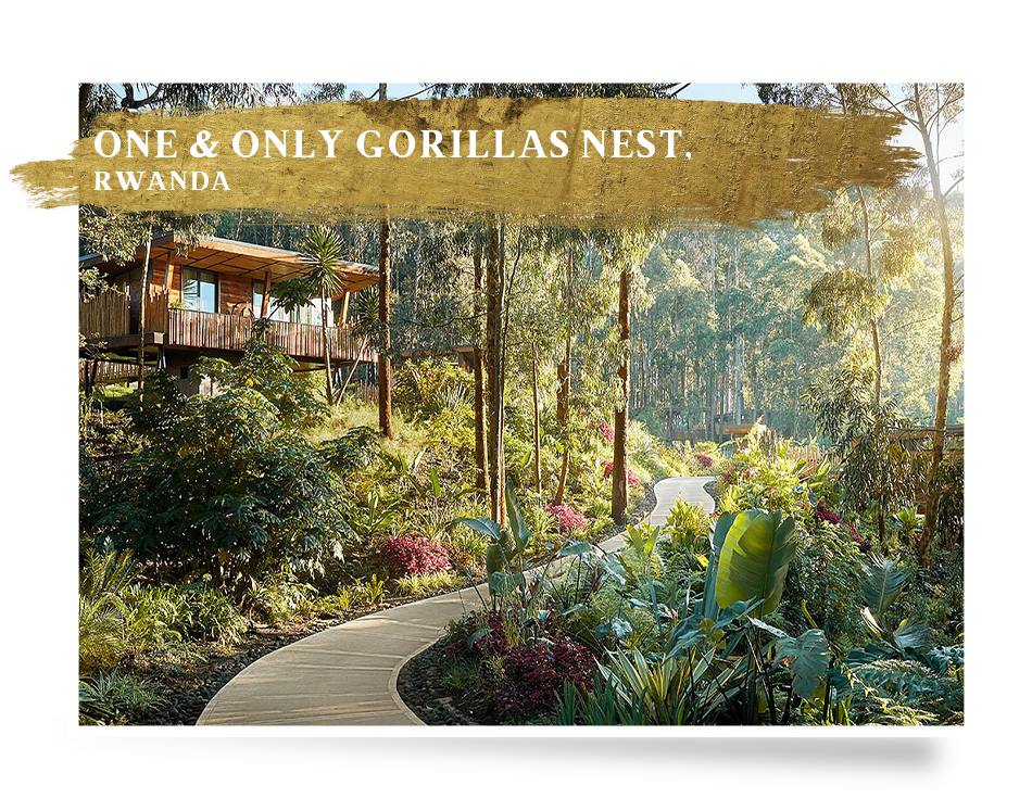 Great Plains Collective Rwanda