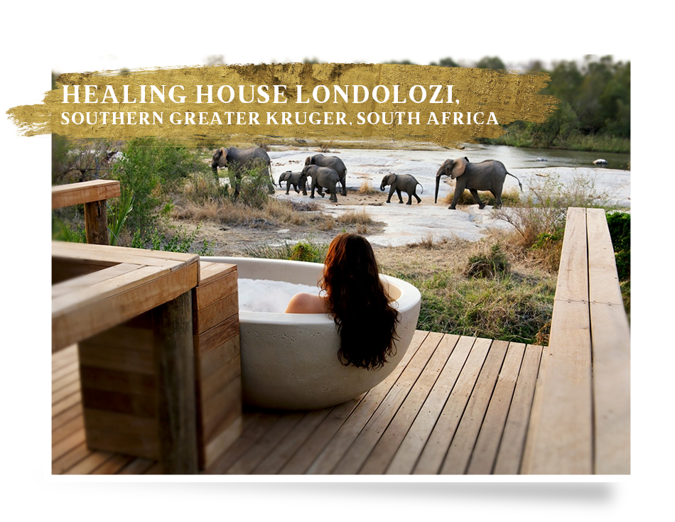 Great Plains Conservation Collective Bush and Balance Healing House Londolozi