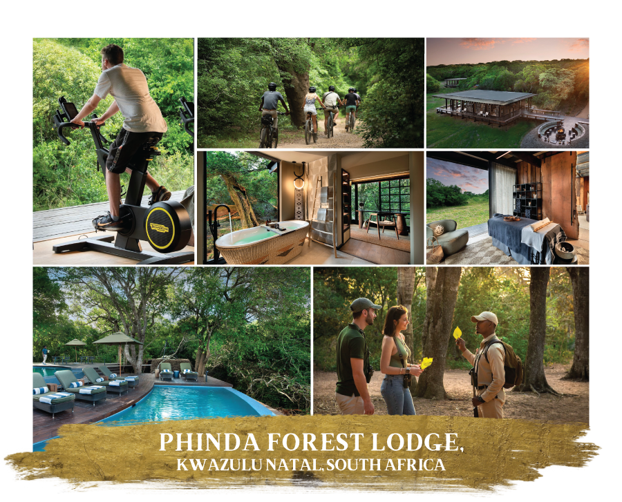 Great Plains Conservation Collective Bush and Balance e Phinda Forest Lodge