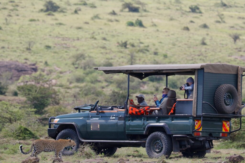 Great Plains Safari sightings June