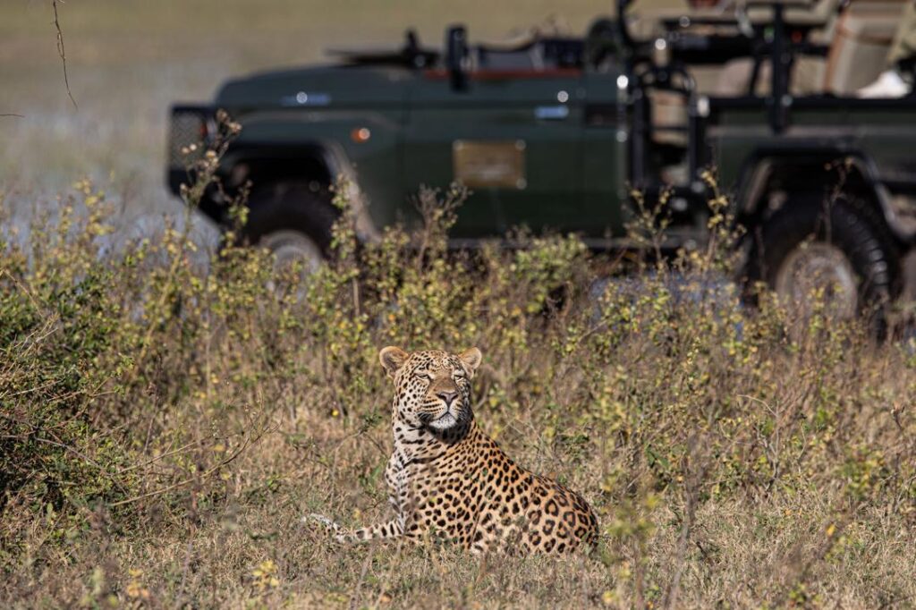 Great Plains Safari sightings June