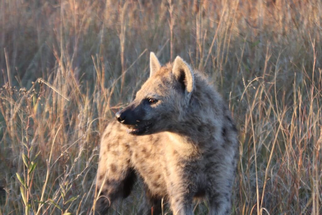 Great Plains Wildlife Wednesday July