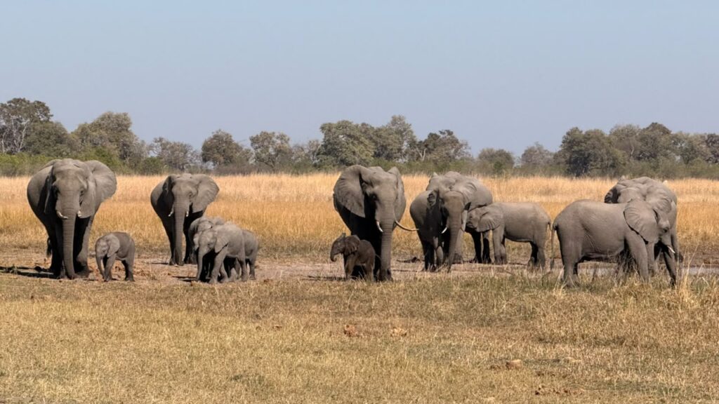 Great Plains Wildlife Wednesday July