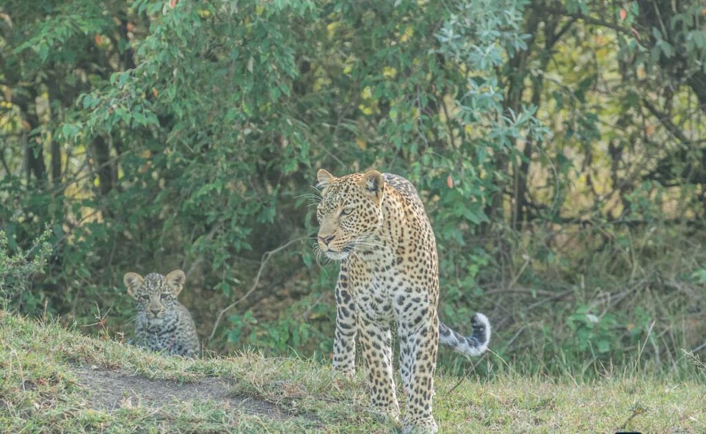 Great Plains Wildlife Wednesday July