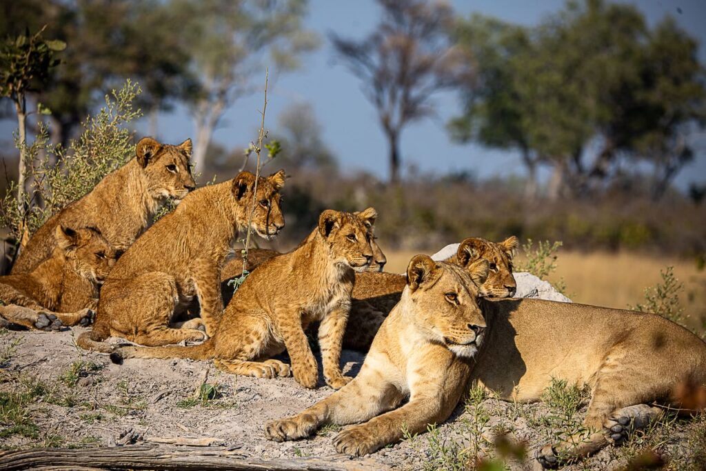 Great Plains Wildlife Wednesday July