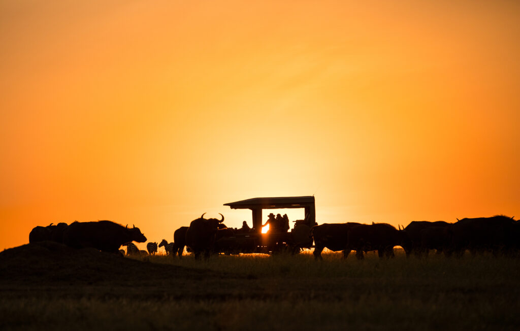 Great Plains Conservation Mara Nyika Camp Recipe August