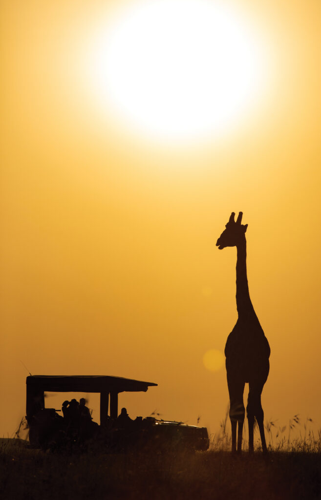 Great Plains Conservation Mara Nyika Camp Recipe August