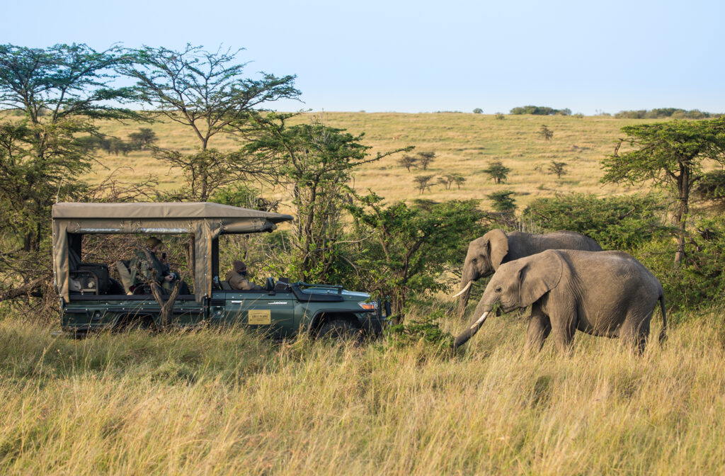 Great Plains Conservation Mara Nyika Camp Recipe August