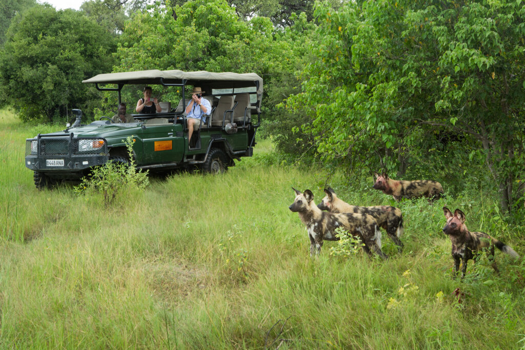 Safari Experience GreatPlainsConservation Selinda Concession Botswana
