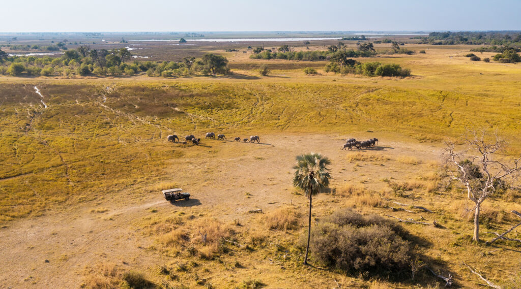 Safari Experience Zarafa Camp GreatPlainsConservation Botswana AH