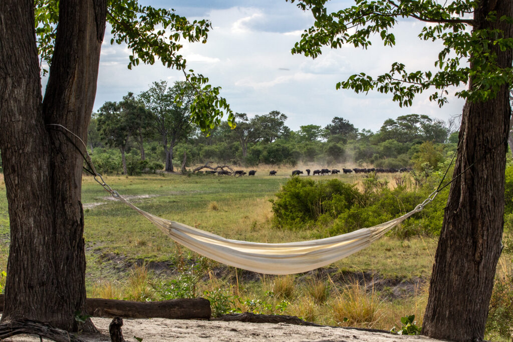 Selinda Explorers Camp GreatPlainsConservation Botswana