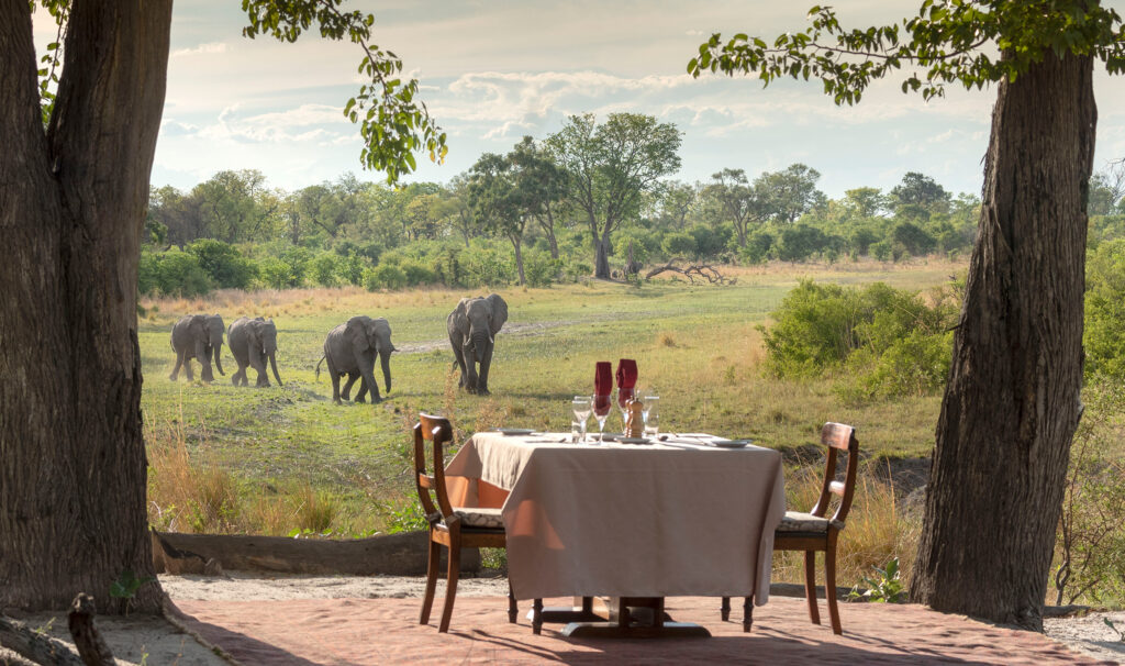 Selinda Explorers Camp GreatPlainsConservation Botswana