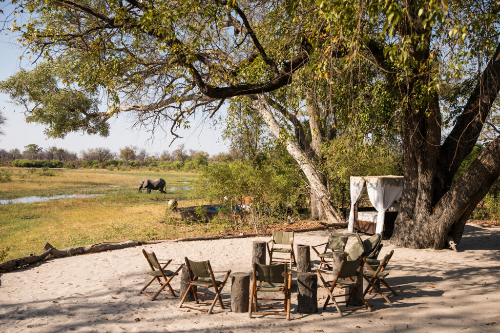 Selinda Explorers Camp GreatPlainsConservation Botswana AHP