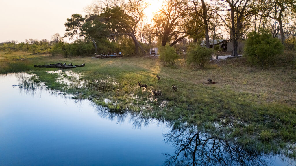 Selinda Explorers Camp GreatPlainsConservation Botswana AH